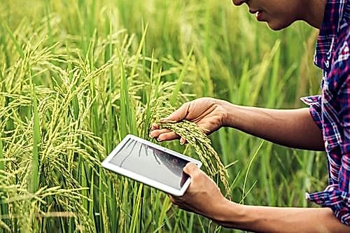 Tarımsal verimliliğin artması için teknoloji kullanımının önemi