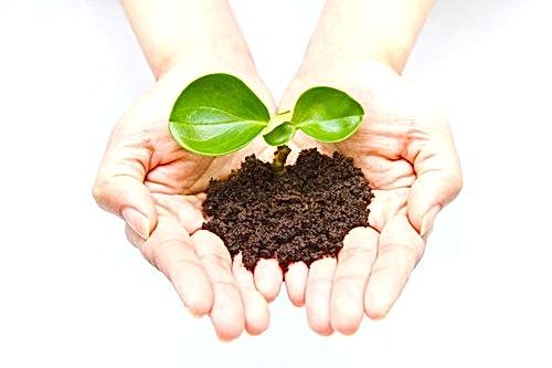 Sürdürülebilir Tarıma Sektörün Bakışı